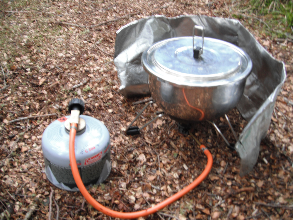 Single gas stove
